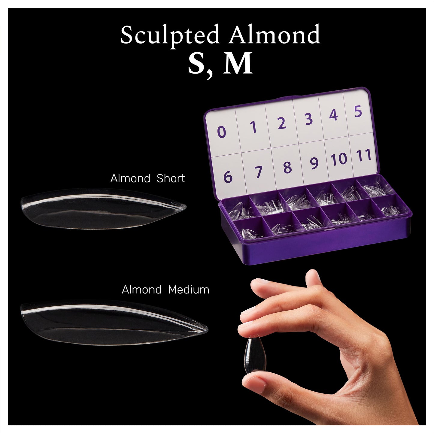 
                  
                    Sculpted Almond Short Sculpted Almond Medium Soft gel nail tips sizes Almond Round Soft gel nail extensions
                  
                